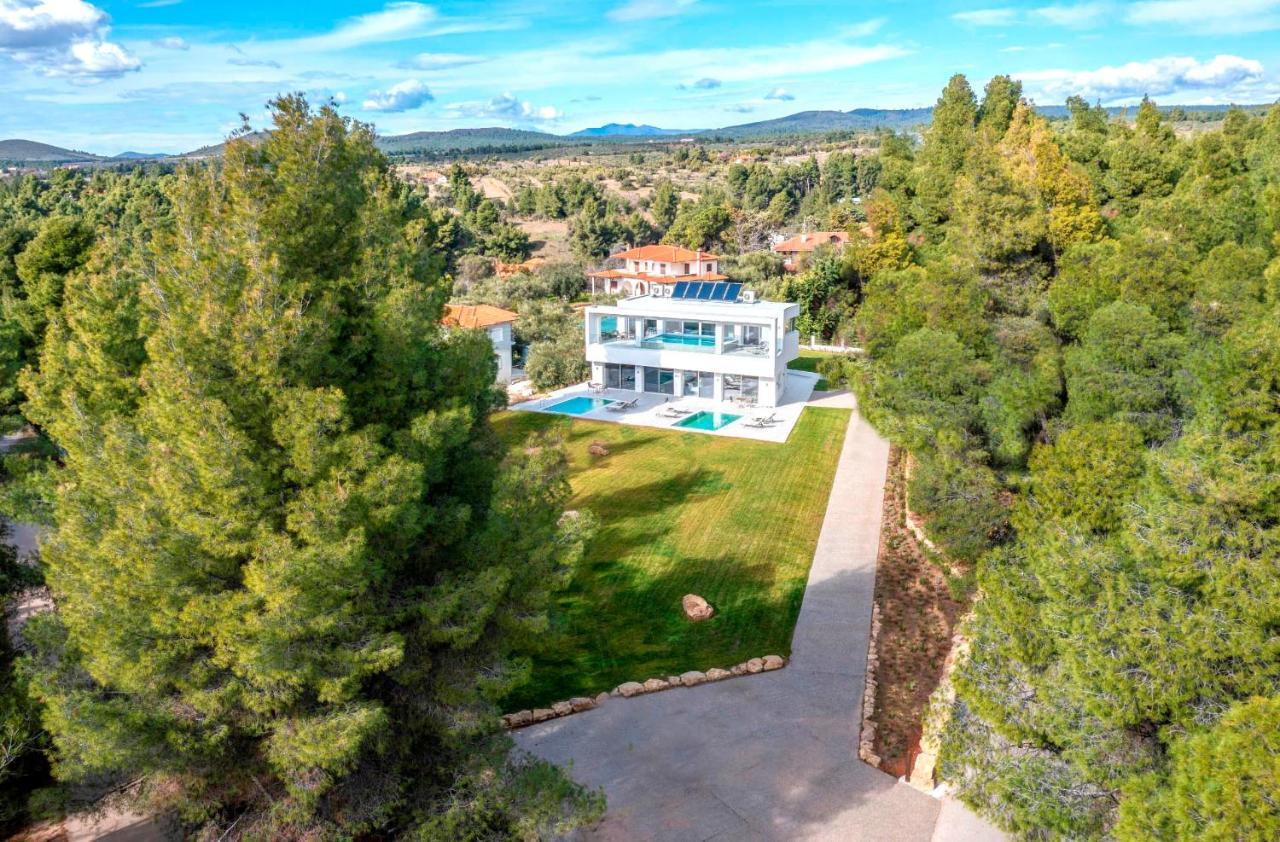 Nikiti Botanic Pool Suites Εξωτερικό φωτογραφία